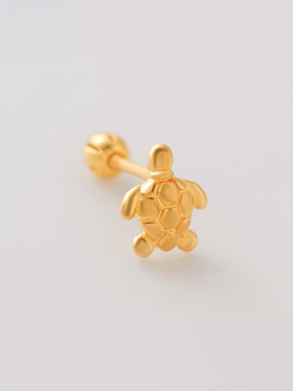 TWINKRING